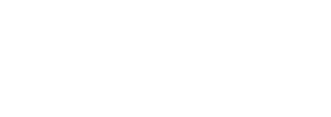 dr.niazi logo